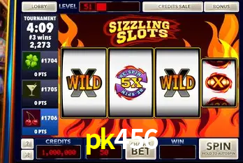 Descubra a Essência do pk456: Nossa História e Compromissos