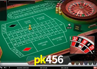 Descubra o Mundo do Cassino Online com pk456