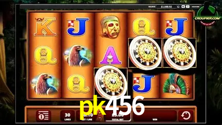 Cassino ao vivo com dealers reais na pk456