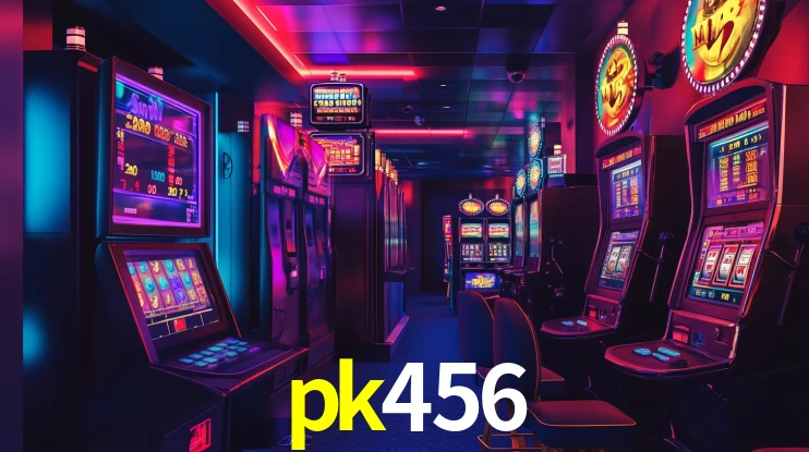 pk456 App Interface